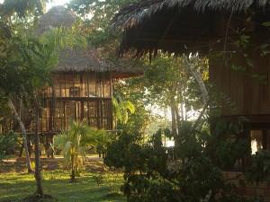 Bungalow_M_D_ML amazonie