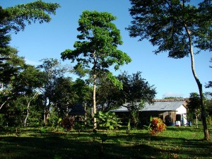 Casa_Tarangue_3 amazonie