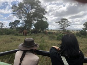 observation kenya