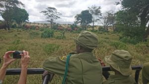 Rangers Kenya