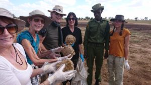 Bouse éléphants kenya