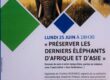 Conférence éléphants