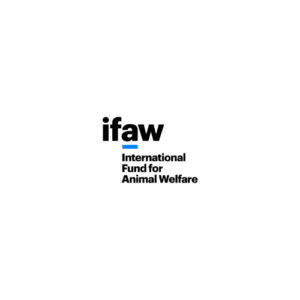 ifaw