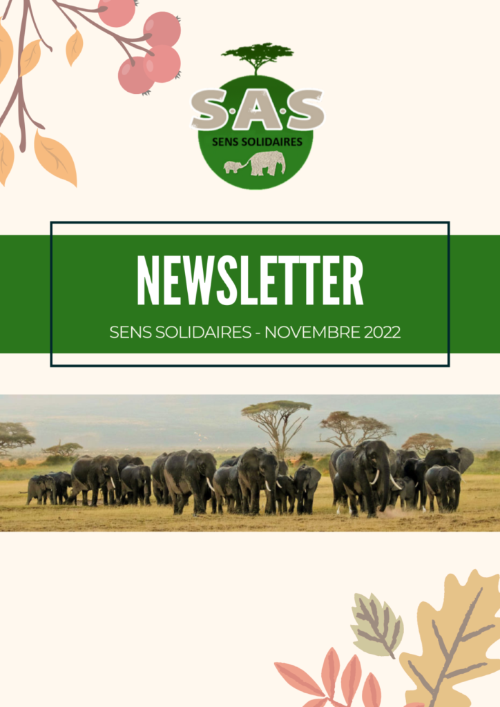 newsletter 20222 front