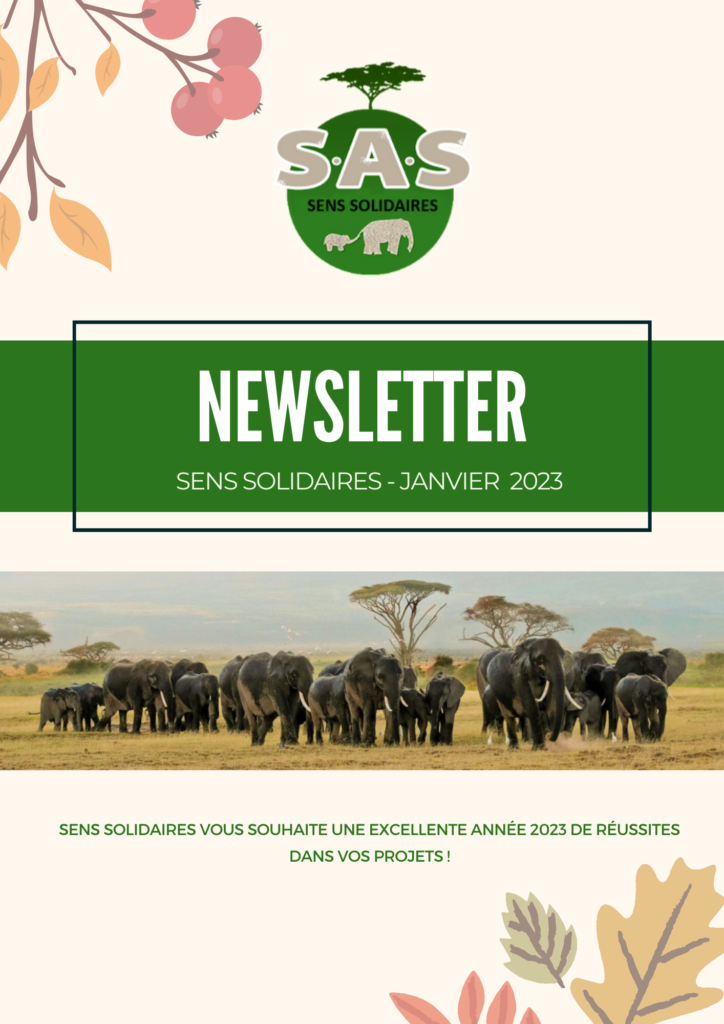Newsletter Janvier 2023