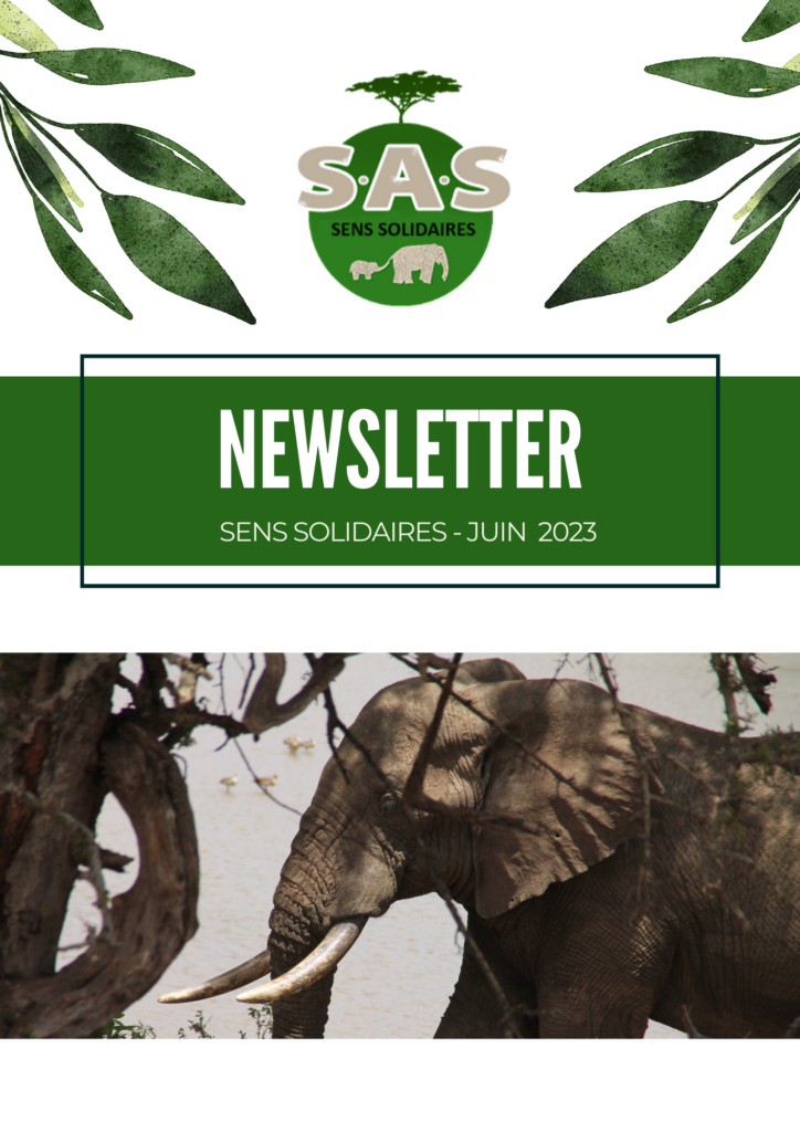 newsletter juin 2023