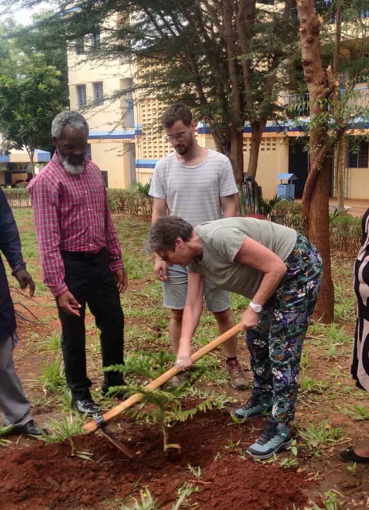 plantation cit maryse