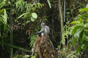 _IGP0093(1)