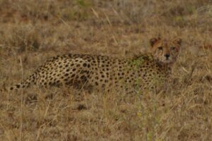 image022