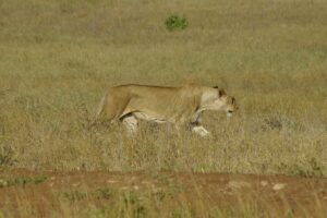 image018