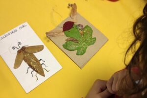 insecto feuille