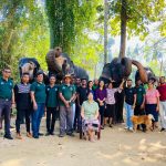 Millenium elephant foundation team